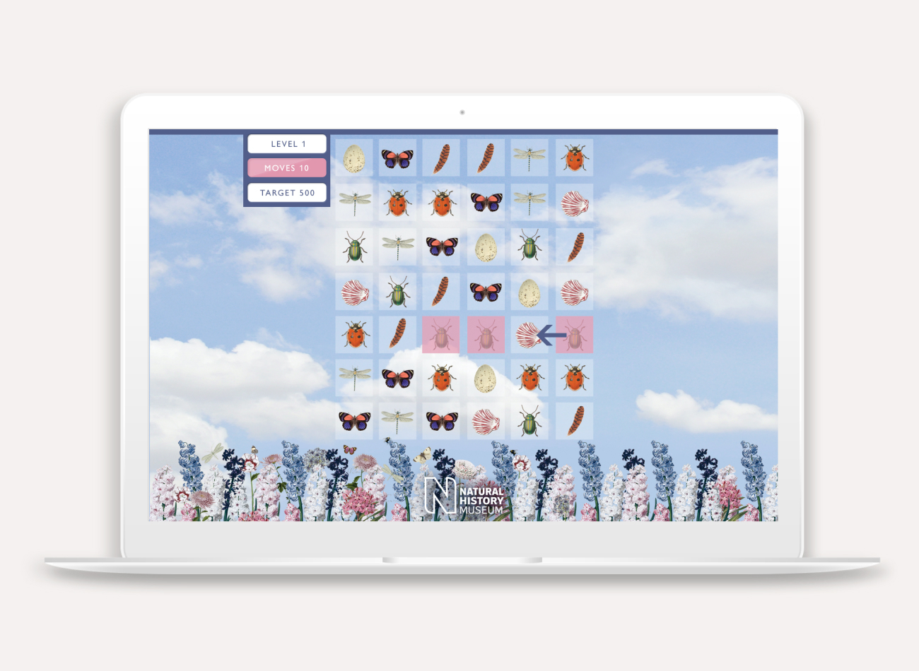 Interactive features